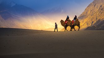 Ein Kamelritt durch die Wüste, während die Sonne hinter den Bergen untergeht und die Landschaft in warmes Licht taucht.