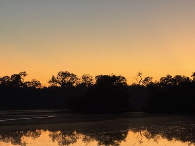 Der Sonnenuntergang über dem Amazonas spiegelt sich in ruhigem Wasser, während Schatten von Bäumen den Horizont betonen.