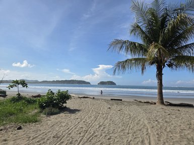 Ein sandiger Strand gesäumt von Palmen, mit sanften Wellen, die ans Ufer rollen, während einer Person in der Ferne steht.