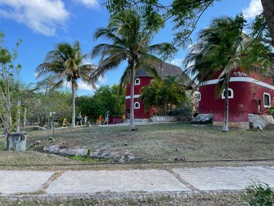 Eine Gruppe von Kindern spielt fröhlich auf einer Wiese vor einem roten Gebäude mit Palmen im Hintergrund.