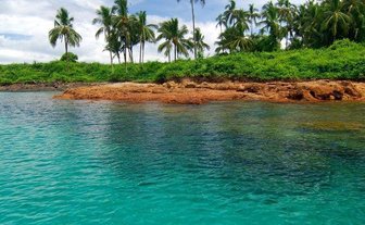 Kristallklares Wasser umgibt eine grüne Küstenlinie, gesäumt von hohen Palmen unter einem strahlend blauen Himmel.