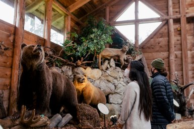 Zwei Besucher betrachten beeindruckende Tierpräparate in einem Holzgebäude, darunter ein Bär und ein Puma auf einem Felsen.