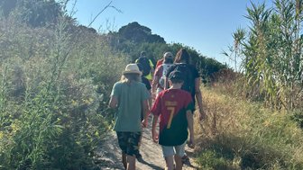 Eine Gruppe von Wanderern geht einen schmalen Pfad entlang, umgeben von üppigem Grün und strahlendem Sonnenlicht.