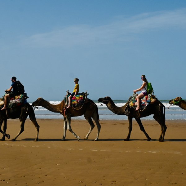 Familie erlebt einen entspannten Kamelritt entlang des weiten Strands von Sidi Kaouki – Marokko Familienurlaub