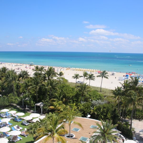 Ein sonniger Strand mit bunten Sonnenschirmen und Liegen, umgeben von Palmen und dem klaren blauen Wasser des Ozeans.