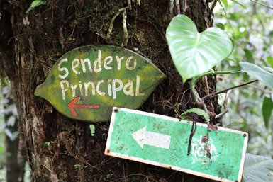 Markierung für Wanderweg in der Nähe der La Tigra Rainforest Lodge – Costa Rica Familienreise