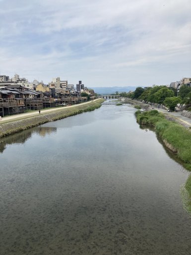 Der ruhige Kamo-Fluss fließt durch Kyoto, umgeben von traditionellen Holzhäusern und modernen Gebäuden am Ufer.