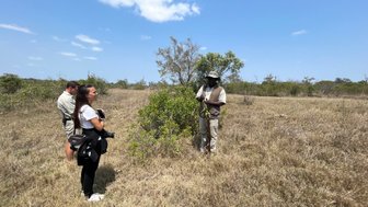 Safari-Guide erklärt im Krüger Nationalpark – Südafrika Familienreise