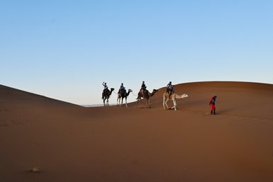 Familie erlebt gemeinsam ein Kameltrekking durch die Sandlandschaften der Sahara – Marokko mit Kindern