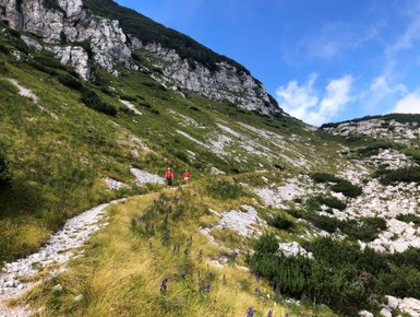 Zwei Wanderer in roten Shirts gehen einen schmalen Pfad durch eine grüne Berglandschaft mit blühenden Pflanzen.