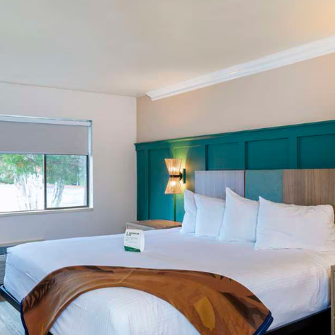 Ein modernes Hotelzimmer mit einem großen Bett, weißen Kissen und einer stilvollen, grünen Wandverkleidung.