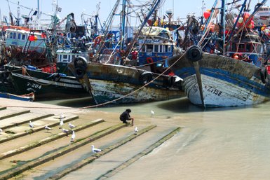 Blick auf den Hafen von Essaouira mit Fischerbooten und Möwen – Marokko Reise mit Kindern
