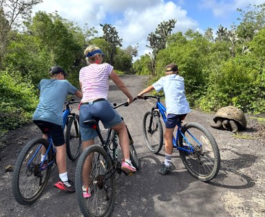 Drei Kinder und eine Frau auf Fahrrädern halten an einem Weg, während eine große Schildkröte in der Nähe sitzt.
