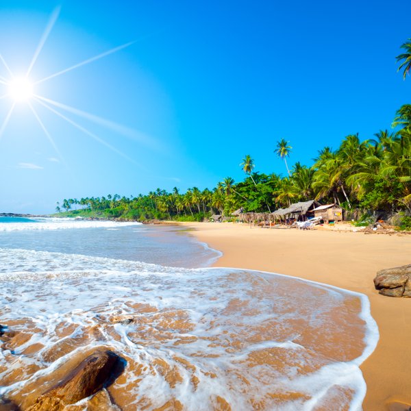 Die Sonne scheint intensiv auf den tropischen Strand – Sri Lanka Familienreise