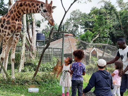 Eine Giraffe steht neugierig vor einer Gruppe von Kindern, die sie mit Futter anlocken und lächeln.