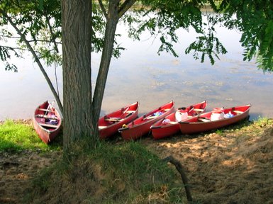 Rote Kanus liegen am Ufer eines ruhigen Gewässers, umgeben von grünem Gras und einem großen Baum im Hintergrund.