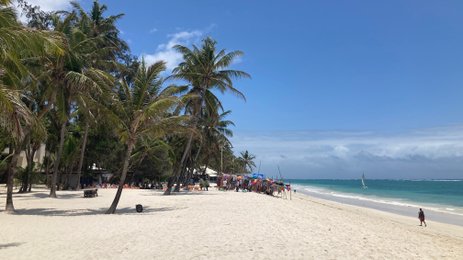 Ein sonniger Strand mit Palmen, wo Menschen entspannen und ein Segelboot in der Ferne auf dem Wasser fährt.