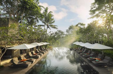 Ein luxuriöser Poolbereich mit Liegen und Sonnenschirmen, umgeben von üppigem Grün und sanftem Licht der Morgensonne.