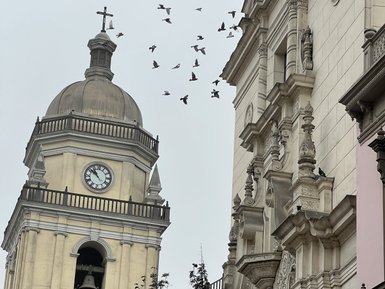 Die beeindruckende Fassade der Basilika mit kunstvollen Verzierungen und einer großen Uhr, umgeben von fliegenden Tauben.
