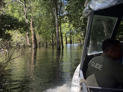 Ein Boot fährt auf einem ruhigen, von Bäumen gesäumten Fluss, während ein Guide mit dem Rücken zur Kamera sitzt.