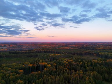 Ein atemberaubender Sonnenuntergang über dem Gauja Nationalpark, mit leuchtenden Farben und einer weiten Waldlandschaft.
