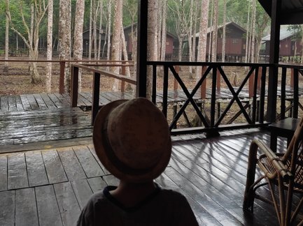 Kind sitzt in einem traditionellen Holzhaus und blickt neugierig in die Natur – Malaysia & Borneo Reise mit Kindern