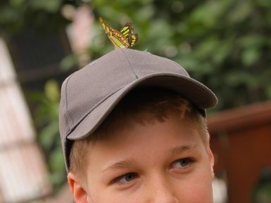 Bunte Schmetterlinge im Schmetterlingsgarten des Eco Centro Danaus – Costa Rica Familienurlaub