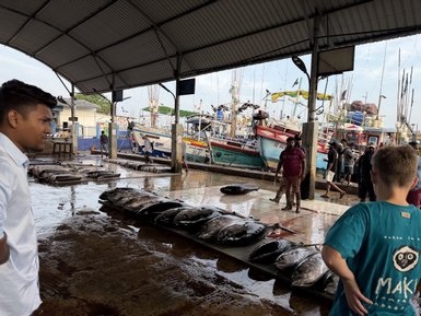 Ein geschäftiger Fischmarkt mit frischem Fisch, wo Menschen umgeben von Booten und Fischern arbeiten und handeln.