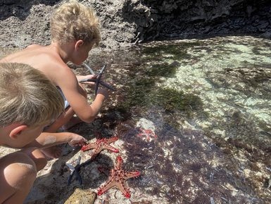 Zwei Kinder erkunden das flache Wasser, während sie bunte Seesterne und einen Stein im Sand untersuchen.
