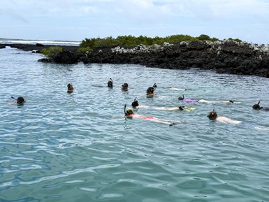 Eine Gruppe von Schnorchlern schwimmt in klarem Wasser, umgeben von Felsen und üppiger Vegetation im Hintergrund.