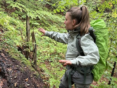 Eine Person in wetterfester Kleidung steht auf einem Baumstamm und zeigt auf die Umgebung im üppigen, grünen Wald.