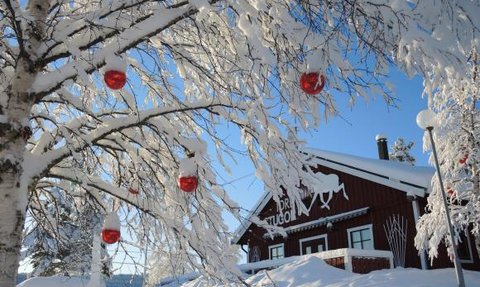 Ein verschneiter Baum mit roten Weihnachtskugeln vor einer rustikalen Hütte in einer winterlichen Landschaft.