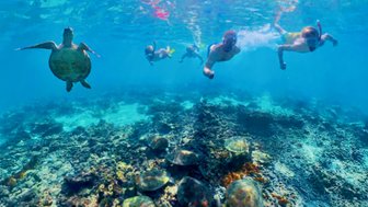 Familie entdeckt beim Schnorcheln die bunte Unterwasserwelt der Daymaniyat-Inseln – Oman Familienreise