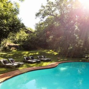 Ein einladender Pool umgeben von üppigem Grün und Sonnenstrahlen, ideal für entspannende Tage im Freien.