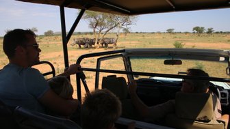 Eine Jeepsafari führt durch den Etosha National - Namibia mit Jugendlichen