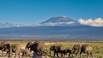Eine Gruppe von Elefanten überquert eine Straße, während der majestätische Kilimandscharo im Hintergrund sichtbar ist.