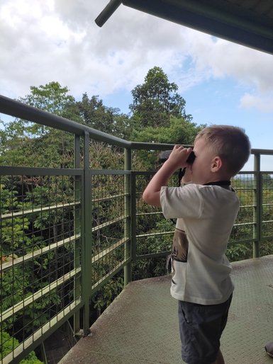 Kind blickt durch ein Fernglas und entdeckt die grüne Natur im Sepilok Rainforest Discovery Centre – Malaysia & Borneo Reise mit Kindern