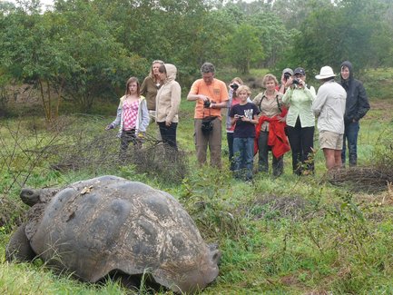 Eine Gruppe von Touristen beobachtet eine große Galapagos-Schildkröte in einer grünen, bewaldeten Umgebung.