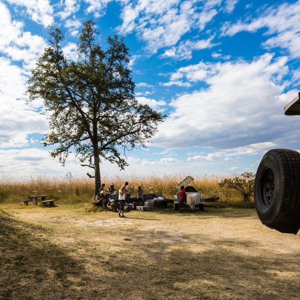 Eine Gruppe von Menschen bereitet ein Picknick unter einem großen Baum in einer offenen Landschaft vor, umgeben von hohem Gras.