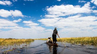 Ein Mann steuert ein traditionelles Boot durch das ruhige Wasser des Okavango-Deltas, umgeben von üppigem Gras.