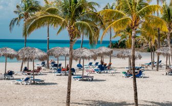 Ein sonniger Strand mit Palmen und Liegen, wo Menschen entspannt unter Strohdächern liegen und die Aussicht genießen.
