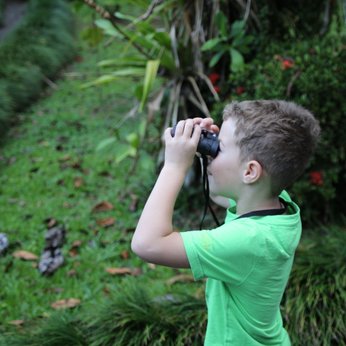 Junge erkundet die Natur mit Fernglas in der Maquenque Eco Lodge – Familienreise Costa Rica