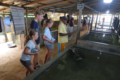Eine Gruppe von Kindern beobachtet fasziniert eine Schildkröte in einem Wasserbecken, während ein Betreuer erklärt.