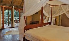 Ein gemütliches Schlafzimmer mit einem großen Bett, umgeben von Moskitonetzen und einem Blick auf die Natur durch große Fenster.