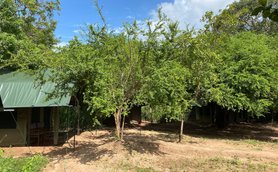 Sri Lanka Familienreise mit Kindern - Wilpattu - The Big Game Camp