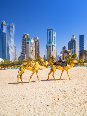 Blick auf Dubai Skyline mit Kamelen - Dubai mit Kindern