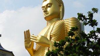 Eine majestätische goldene Buddha-Statue erhebt sich vor einem klaren Himmel, umgeben von üppigem Grün.