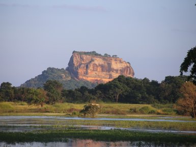 Der Löwenfelsen erhebt sich über die grüne Landschaft – Sri Lanka Familienreise