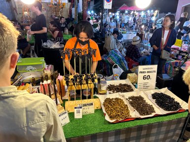 Verkaeuferin und Essensstand fuer Insekten auf lokalem Markt in Chiang Mai - Thailand Reise mit Kindern