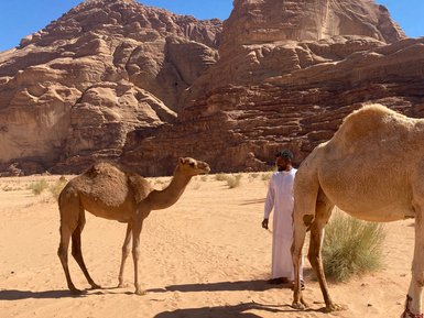 Besitzer mit Kamelen in der Wadi Rum Wüste - Jordanien mit Kindern